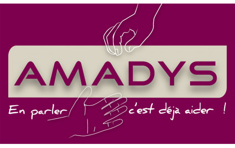 Retour sur 2020... La Compétition Amadys